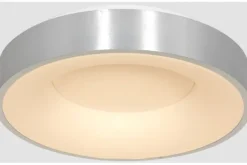 Plafondlamp-Steinhauer Plafondlamp 2562ZI Ringlede