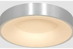 New Plafondlamp 3086ZI Ringlede Plafondlamp