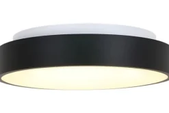 Plafondlamp-Steinhauer Plafondlamp 3086ZW Ringlede