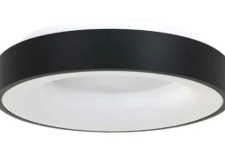 Plafondlamp-Steinhauer Plafondlamp 3086ZW Ringlede