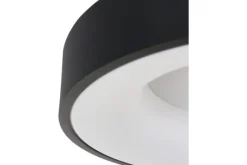 Plafondlamp-Steinhauer Plafondlamp 3086ZW Ringlede