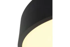 Plafondlamp-Steinhauer Plafondlamp 3086ZW Ringlede