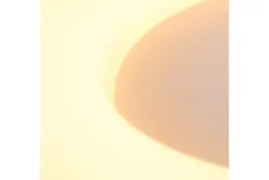 Plafondlamp-Steinhauer Plafondlamp 3086ZW Ringlede