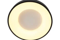 Plafondlamp-Steinhauer Plafondlamp 3086ZW Ringlede