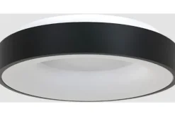 Plafondlamp-Steinhauer Plafondlamp 3086ZW Ringlede