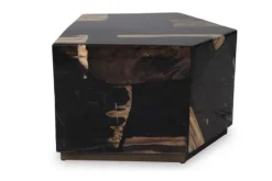 Salontafels-PTMD Salontafel Petrified Wood Medium 706818 Rayn