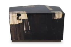 Salontafels-PTMD Salontafel Petrified Wood Medium 706818 Rayn