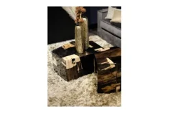 Salontafels-PTMD Salontafel Petrified Wood Medium 706818 Rayn