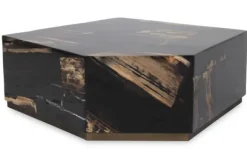 Outlet Salontafel Petrified Wood Large 706817 Rayn Salontafels