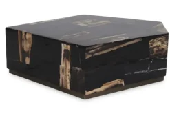 Outlet Salontafel Petrified Wood Large 706817 Rayn Salontafels