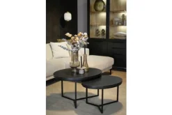 New Salontafelset - Braun Salontafels