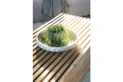 New Schaal | 230163 Club Decoratie