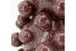 New Vaas Burgundy 240215 Viro Decoratie