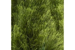 Vloerkleden-Brinker Vloerkleed 474 Arezzo CS |