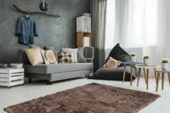 Vloerkleed 110 Bruin Crown Vloerkleden