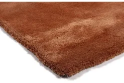 Hot Vloerkleed 16 Licht Bruin Dias Vloerkleden