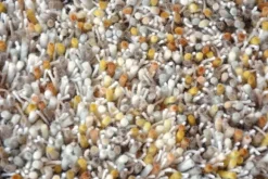 Online Vloerkleed 61806 Young | Vloerkleden