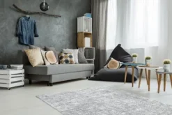 Vloerkleden-Divendo Vloerkleed 110 Zilvergrijs Etna