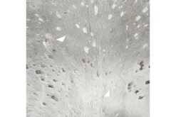 Vloerkleden-Divendo Vloerkleed 110 Zilvergrijs Fly