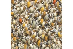 Vloerkleden-Brink & Campman Vloerkleed Calendula 59103 Spring |