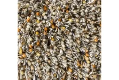 Vloerkleden-Brink & Campman Vloerkleed Calendula 59103 Spring |