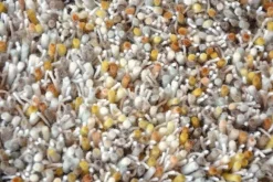 Sale Vloerkleed Chutney 61806 Young | Vloerkleden