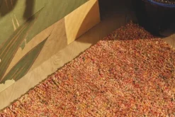 Hot Vloerkleed Coral Red 063 Salsa | Vloerkleden