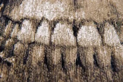 Discount Vloerkleed Funny Bones 9391 Pop | Vloerkleden