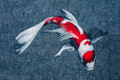 Vloerkleed Japanese Pond 9390 Pop | Vloerkleden