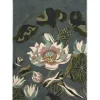 Vloerkleden-Wedgwood Home Vloerkleed Midnight Pond 038608 Waterlily |